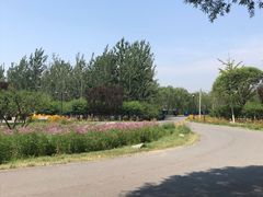 -永定河休闲森林公园