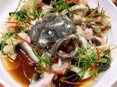 青青椒蒸鱼-舒味姜母鸭·沙茶面(湖里店)