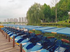 -洋湖国家湿地公园