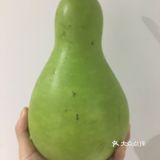 鬼怪[鬼脸]美味菜谱系列之：西葫芦炒肉片