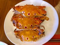 -厦门海沧正元希尔顿逸林酒店開全日餐厅