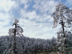 -瓦屋山景区