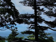 -秦岭天竺山景区