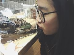 -Rabbit Cafe私房西餐甜点咖啡(栖霞路店)