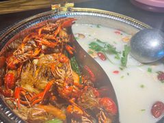 -0048鲜活香辣虾·火锅(铜陵路店)