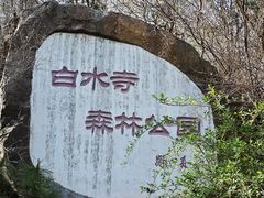 -白水寺森林公园