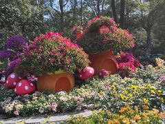 -广州市白云山风景名胜区
