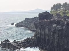 -涉地可支