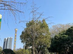 -南湖梦幻岛