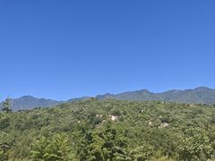 -白水寺森林公园