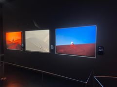 -罗红摄影艺术馆