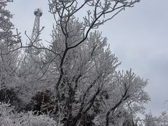 -紫金山山顶公园