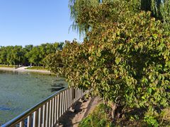 -长春市南湖公园