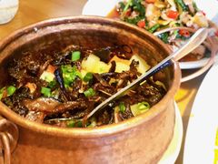 -山茶云南菜(中关村店)