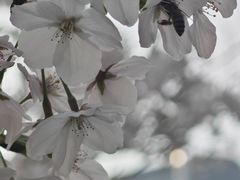 -四川北路(地铁站)