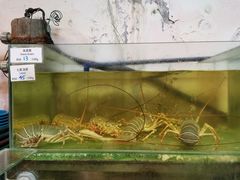 -ZF Seafood Restaurant 卓峰海鲜餐