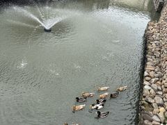 -宁波柏悦酒店·钱湖渔港