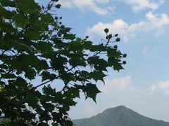 -南昌青山湖风景区