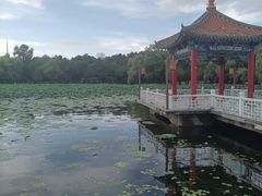 -长春市南湖公园