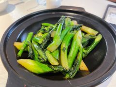 沙窝虾酱芥兰-维园悦谱·海派家常菜(乌鲁木齐南路店)