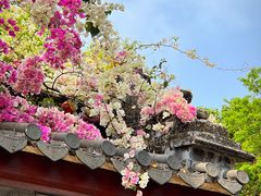 -深圳国际园林花卉博览园