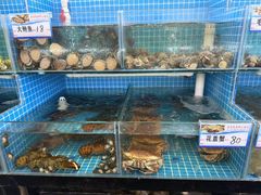 -鑫渔港海鲜本地菜·山海关浑锅(东戴河店)