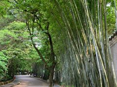 -水濂山森林公园