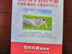 -阳坊大都涮羊肉(阳坊总店)