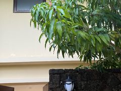-三亚亚龙湾五号度假别墅酒店