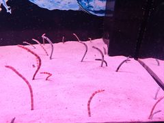 -多彩贵州城极地海洋世界