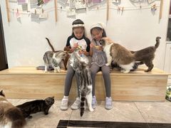 -有猫儿腻咖啡厅.猫咖