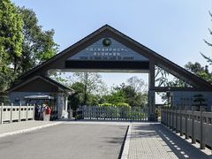 -碧峰峡风景区