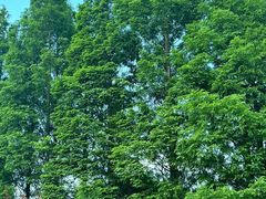 -云漫湖生态度假公园