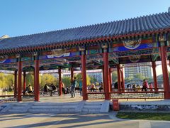 -西海子公园