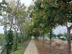 -八仙台服务区-停车场