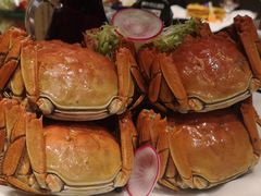 -明仕田园酒店
