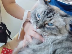 -怪兽屋·羊驼·猫咖·狗咖(俊华广场店)