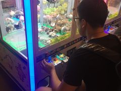 -PAWTOY爪e玩偶店(天兴罗斯福店)