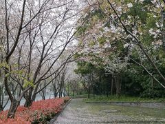 -黄兴公园