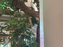 -桂满陇·蟹黄小笼汤包(中山公园店)