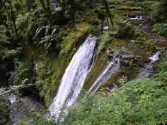 -鹿院坪生态旅游景区