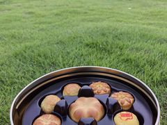 -光明小镇欢乐田园