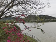 -风云岭森林公园