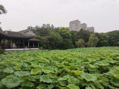 -高子水居