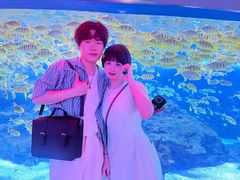 -海合安成都极地海洋公园