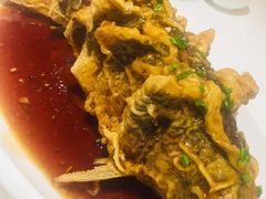 -金春禧(世茂国际广场店)