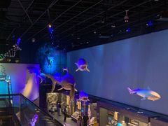 -贝林大翅鲸简餐厅(国家海洋博物馆店)