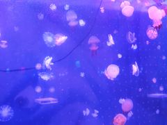 -欧亚达商业广场(红桥店)