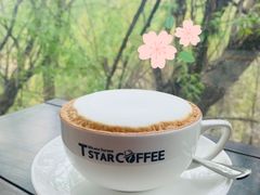 -D STAR COFFEE帝星咖啡