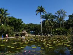 -中国科学院西双版纳热带植物园
